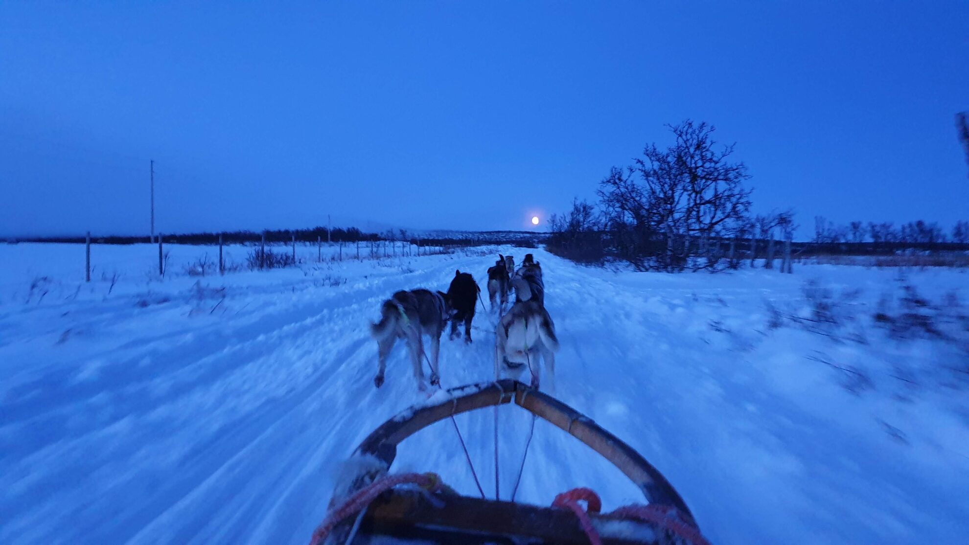 The Polar Night – Aurora Labs Blog