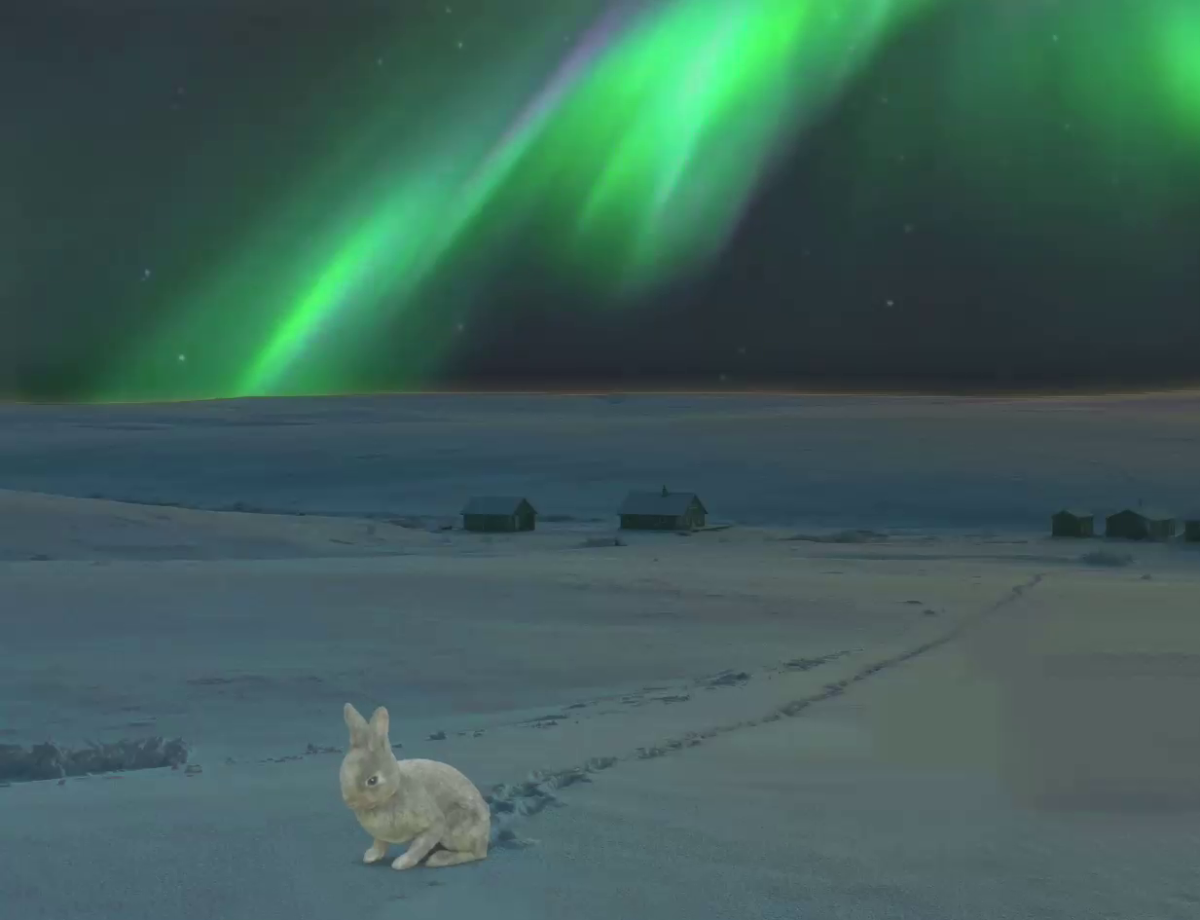 Happy Easter from Aurora Labs in Varanger, Arctic Norway