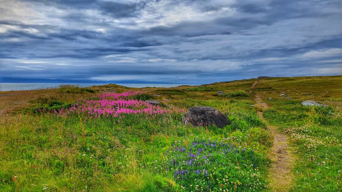 Travel Diary: Travelling to Vadsø – Aurora Labs Blog