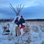 Sami reindeer farm visit