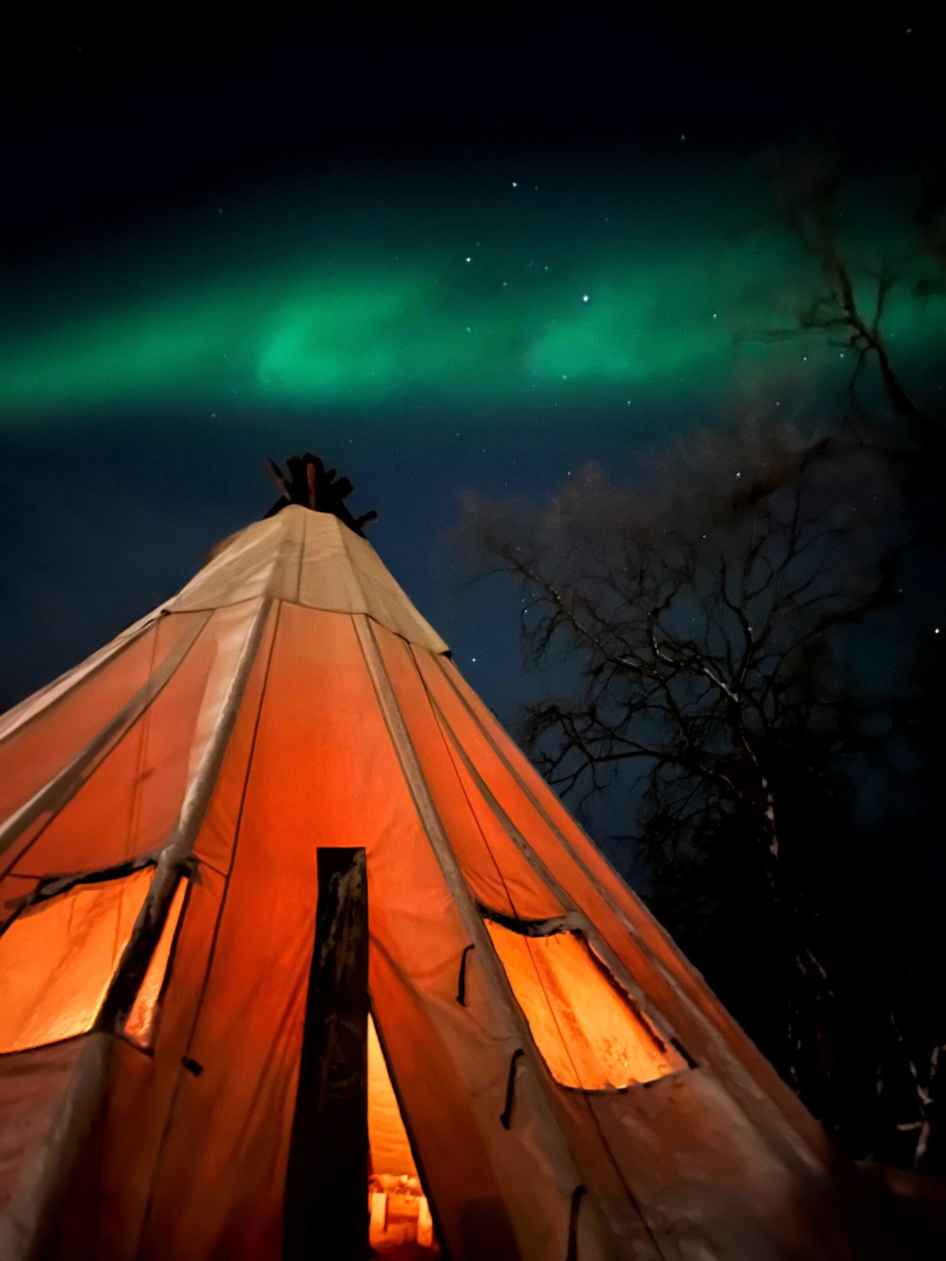 Dinner under a sami lavvo