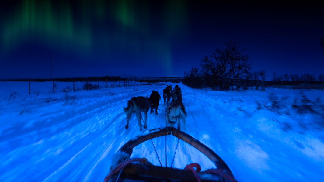 Dogsledding in Varanger