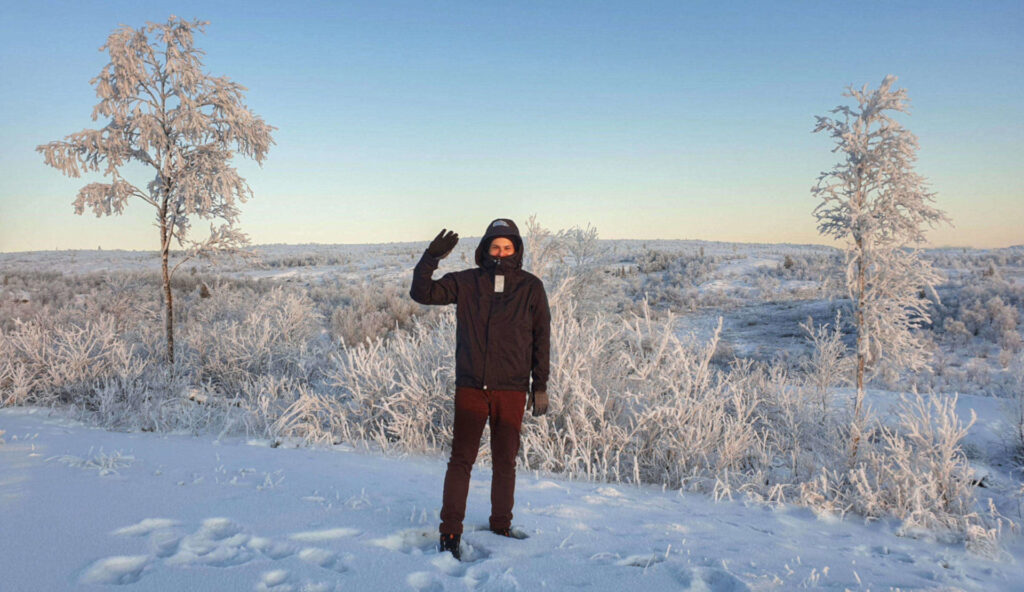 In the boreal forest