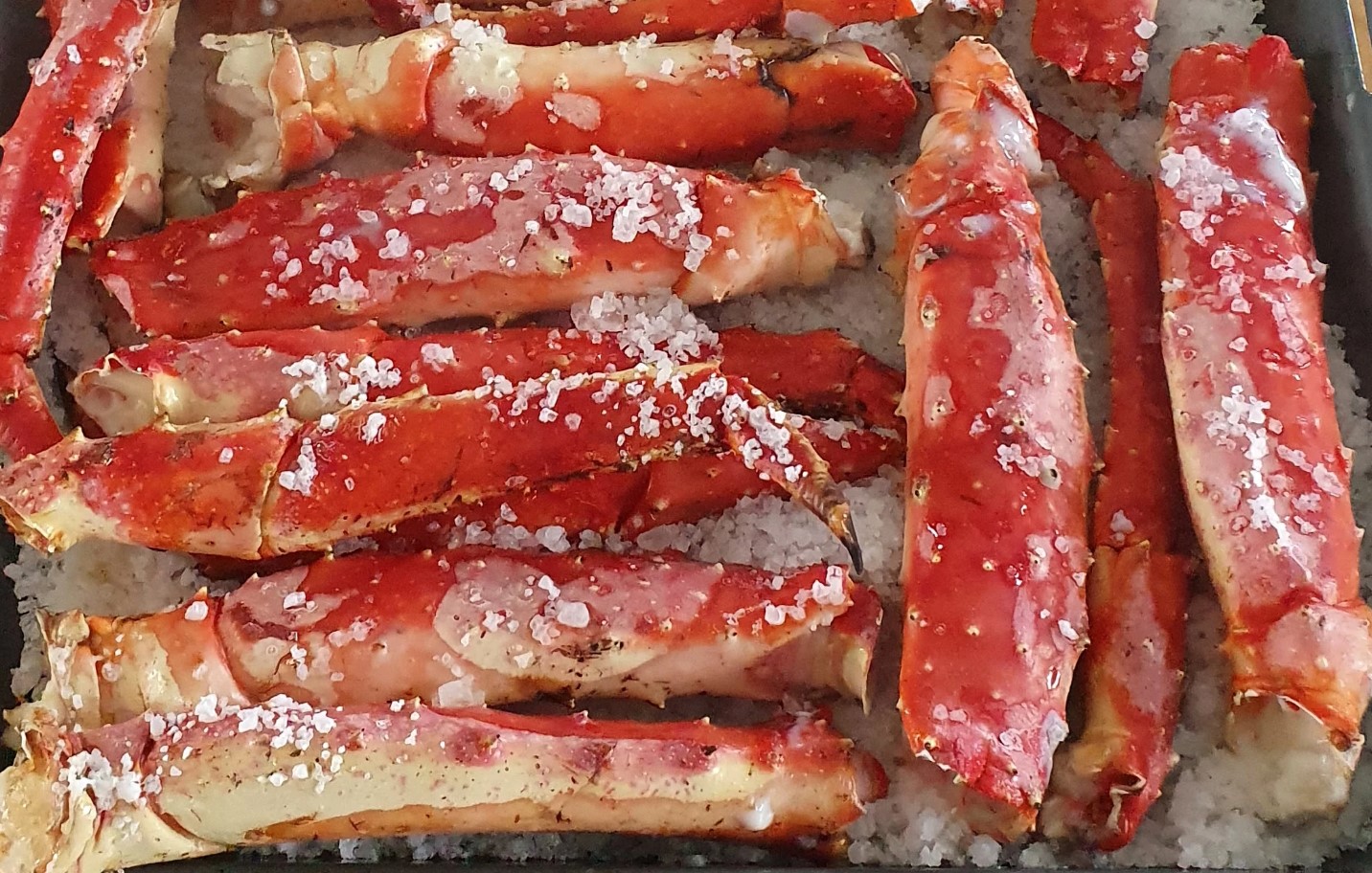 King crab in Varanger