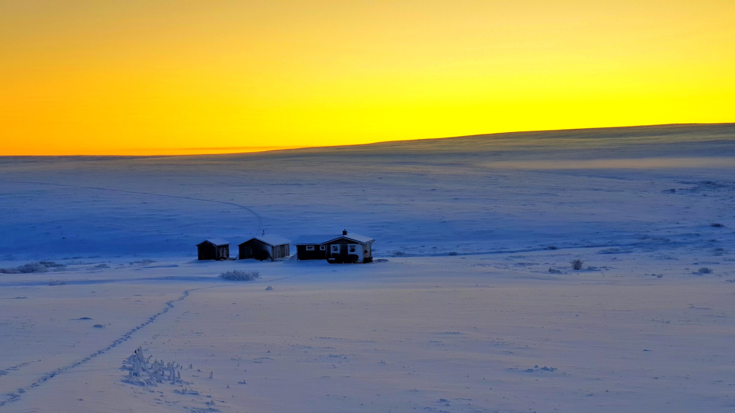The arctic tundra